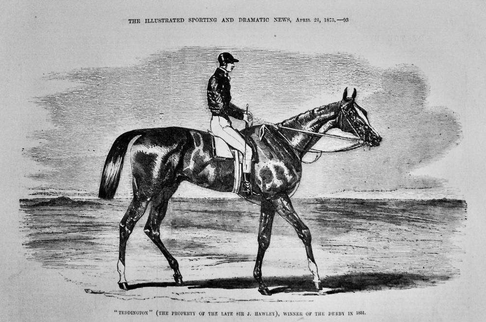 "Teddington" (The Property of the Late Sir J. Hawley),  Winner of the Derby in 1851.