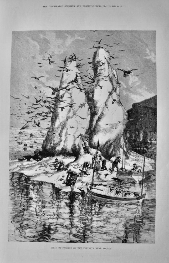 Birds of Passage on the Freirets, near Toulon.  1875.
