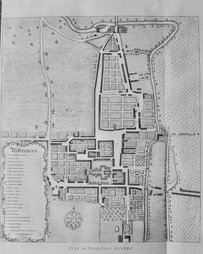 Plan of  Wimbourne  Minster.