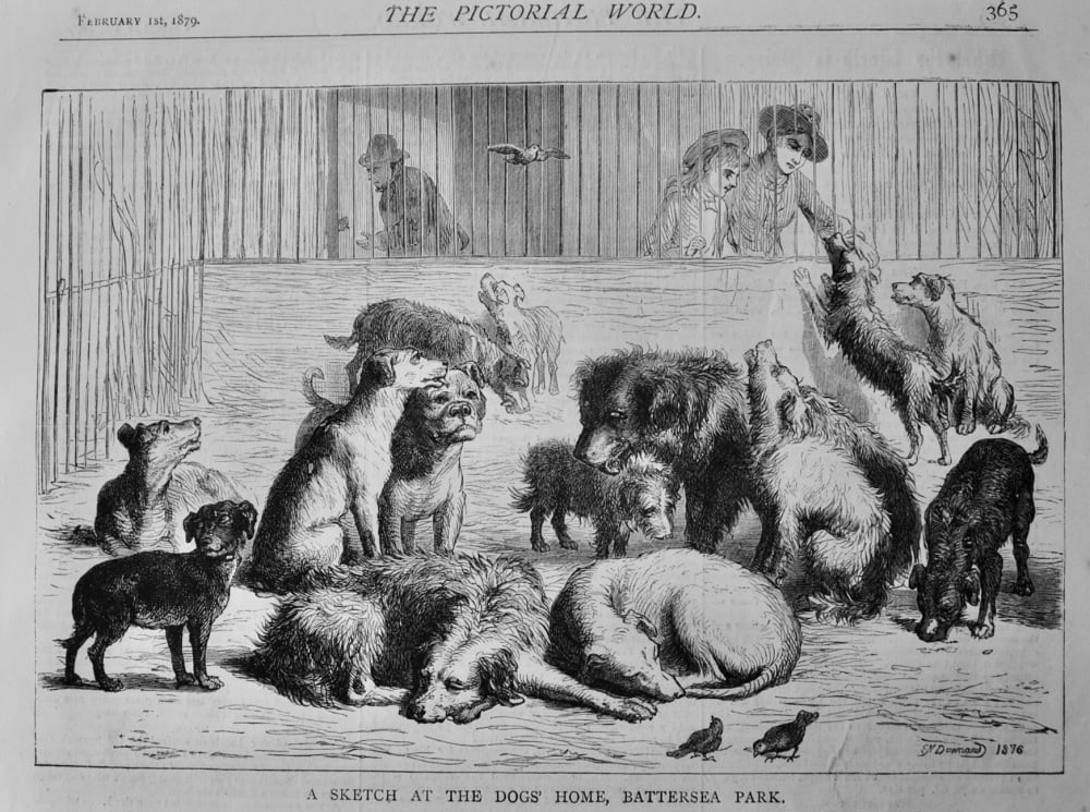 A Sketch at the Dogs' Home, Battersea Park.  1879.