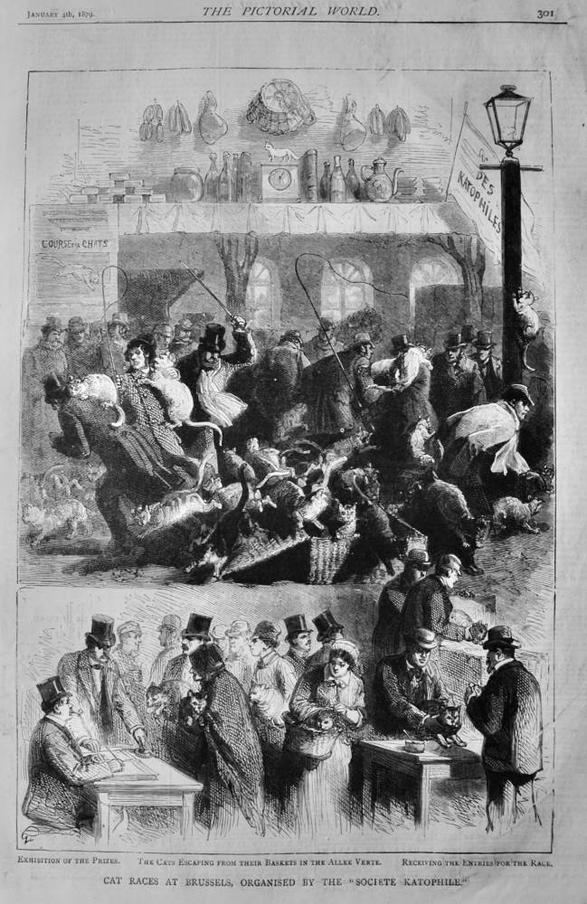 Cat Races at Brussels, Organised by the "Society Katophile."  1879.