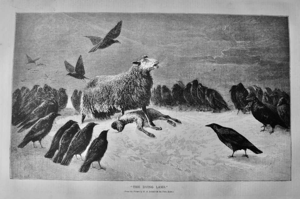 "The Dying Lamb." (From the picture by M. A. Schenck in the Paris Salon.)  1879.