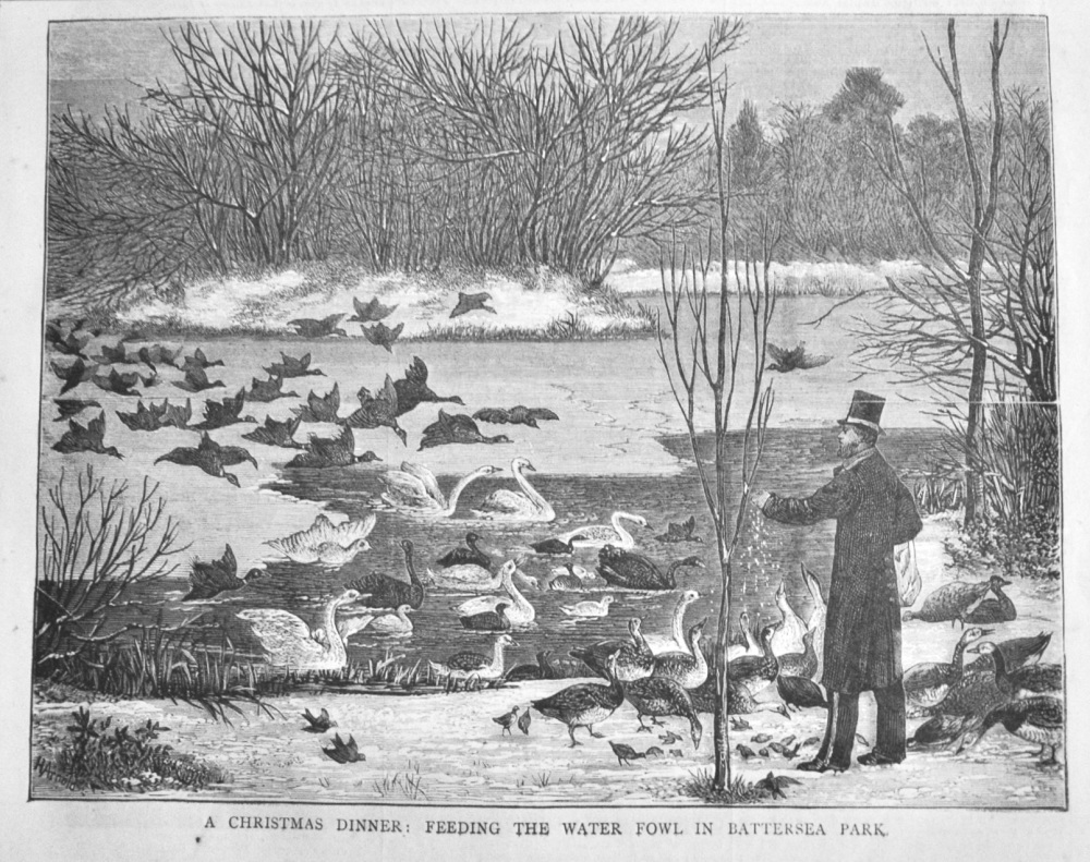 A Christmas Dinner :  Feeding the Water Fowl in Battersea Park.  1878.