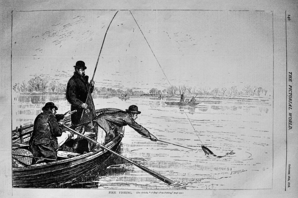 Pike Fishing.  1878.