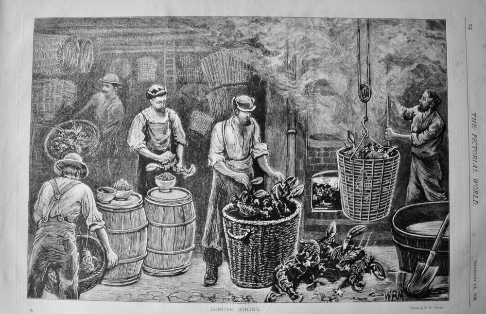 Lobster Boiling.  1878.