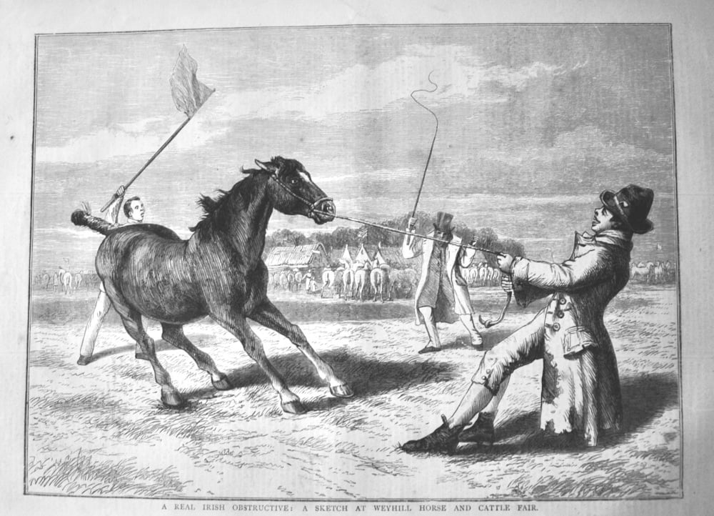 A Real Irish Obstructive :  A Sketch at Weyhill Horse and Cattle Fair.  1878.