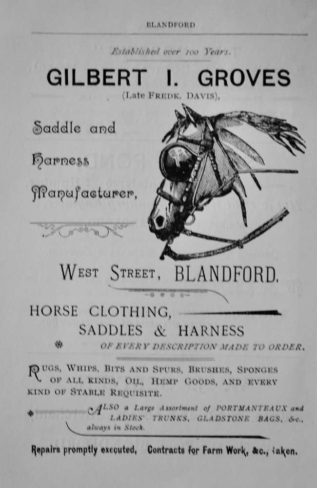 Gilbert I. Groves (Late Fredk. Davis), Saddle and Harness Manufacturer, West Street, Blandford.  1897.