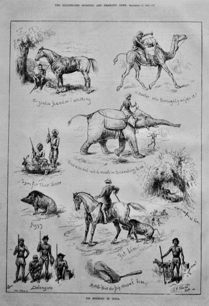 Pig Sticking in India.  1881.