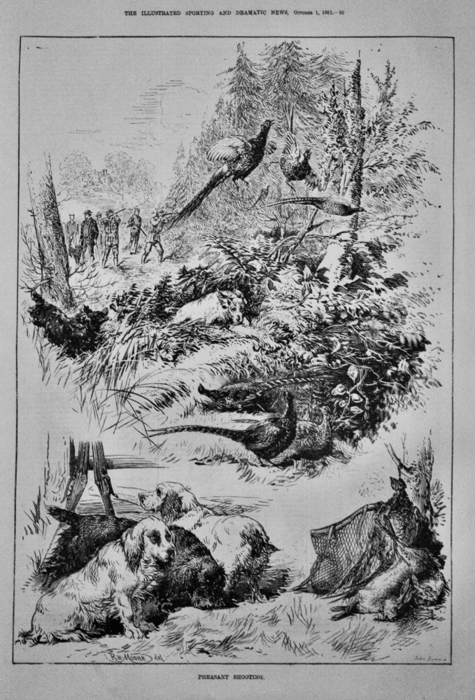 Pheasant Shooting. 1881.