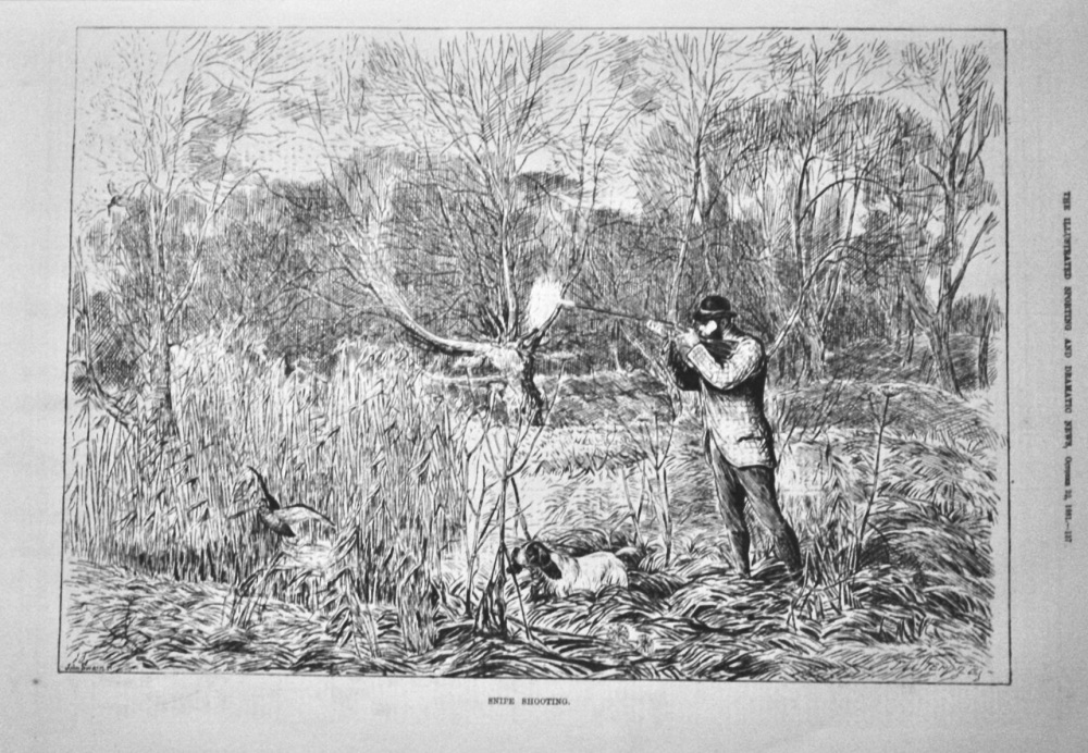 Snipe Shooting.  1881.