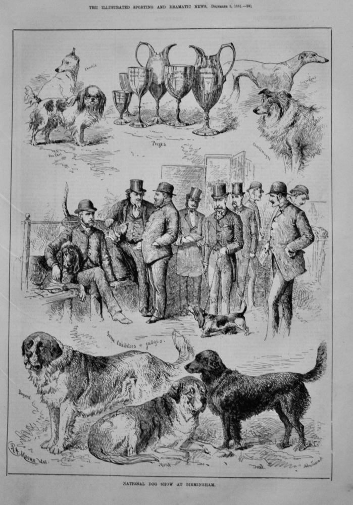 National Dog Show at Birmingham.  1881.