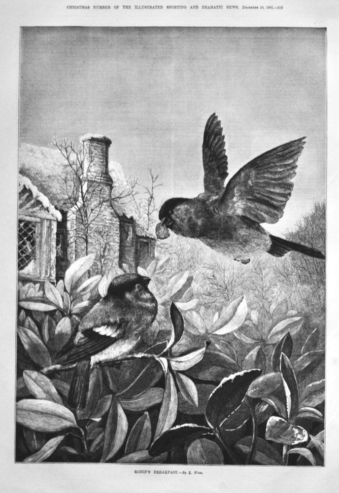 Robin's Breakfast. 1881.