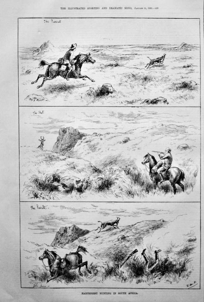 Hartebeest Hunting in South Africa.  1882.
