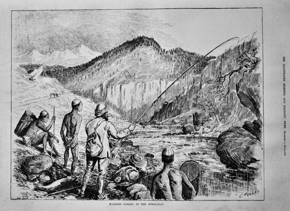 Mahseer Fishing in the Himalayas.  1882.
