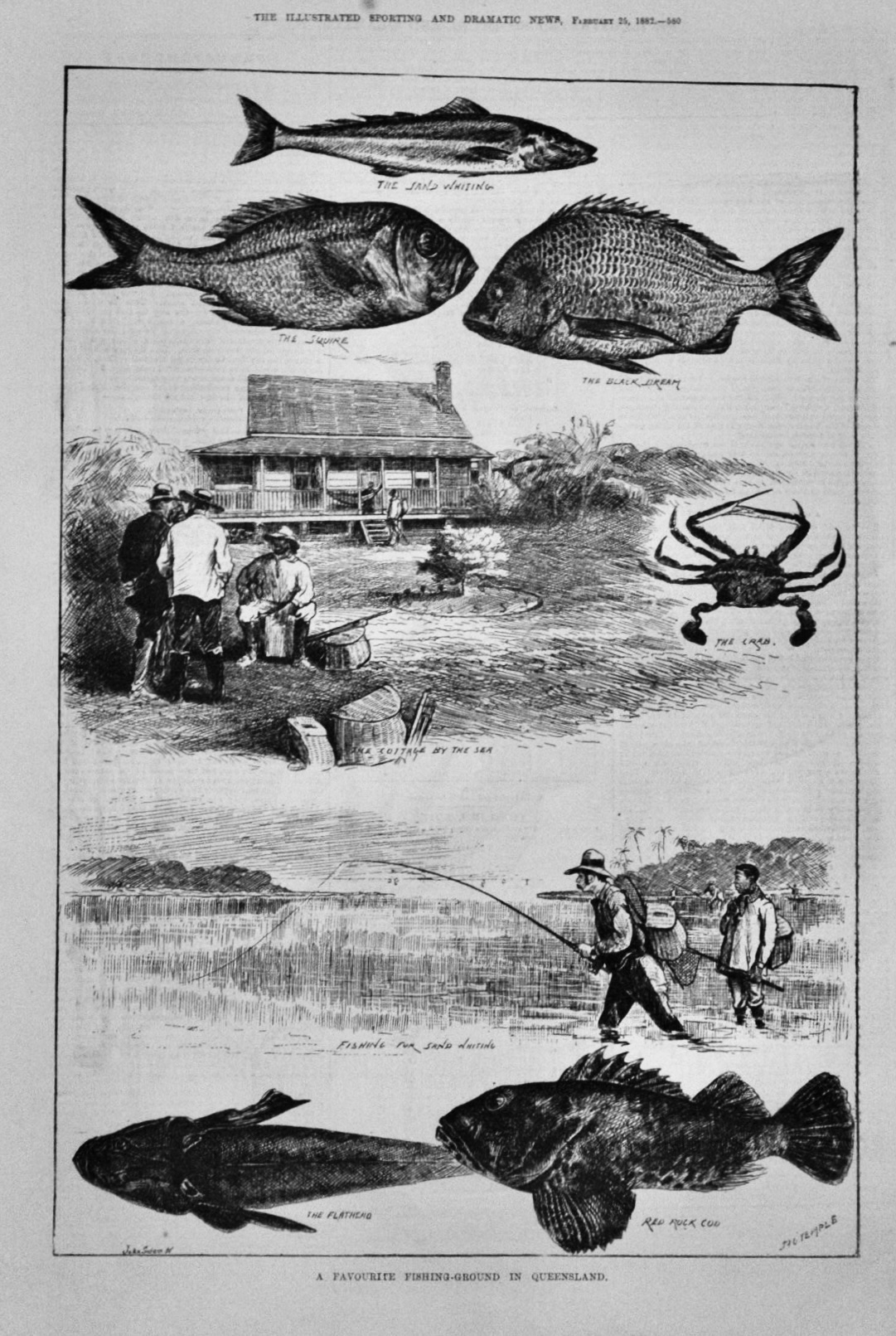 A Favourite Fishing-Ground in Queensland.  1882.