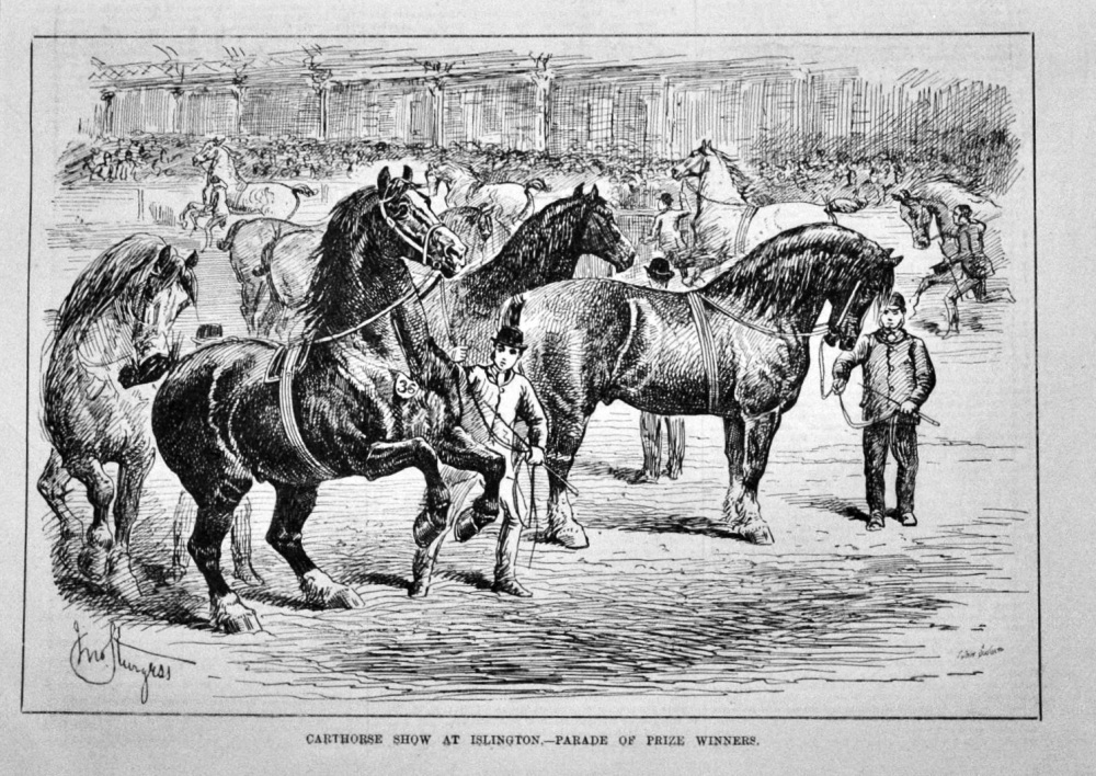 Carthorse Show at Islington.- Parade of Prize Winners.  1882.