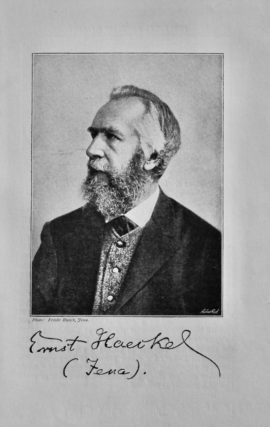 Herr Ernst Haeckel.  1895.