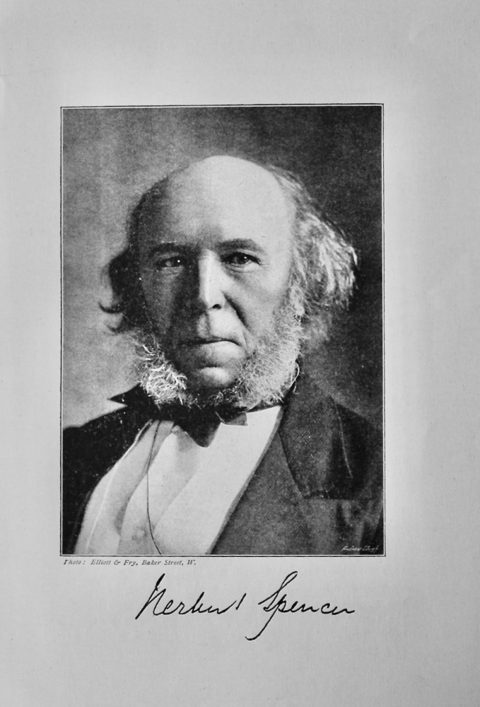 Mr. Herbert Spencer. (Philosopher)  1895.