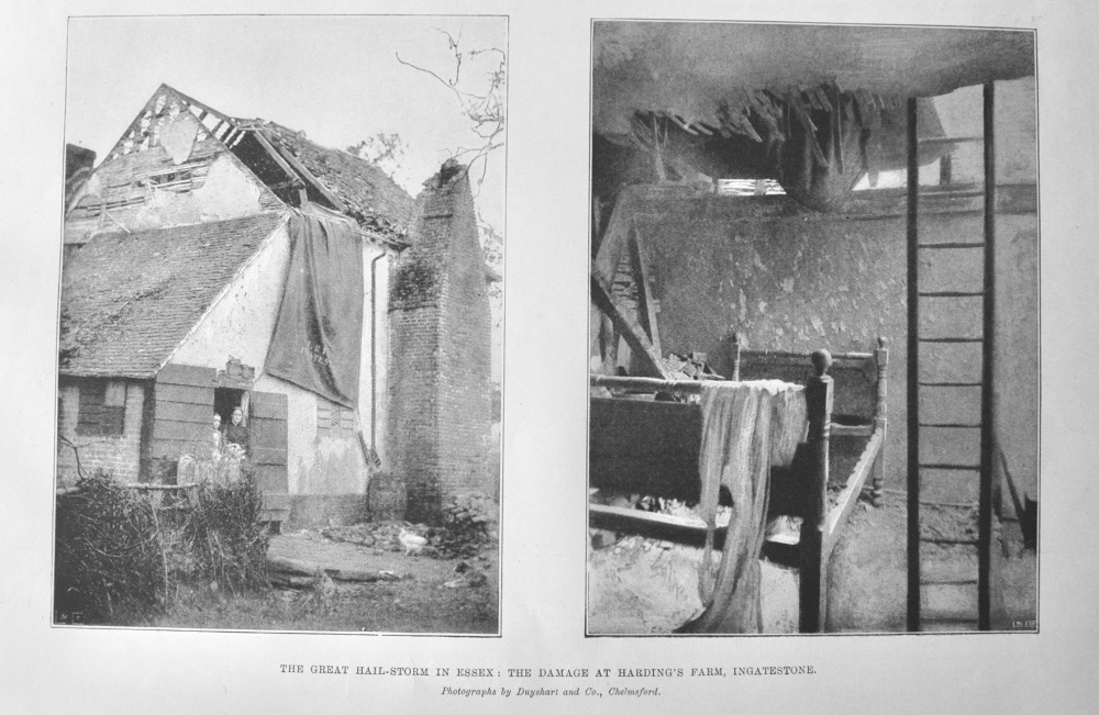 The Great Hail-Storm in Essex :  The Damage at Harding's Farm, Ingatestone.  1897.