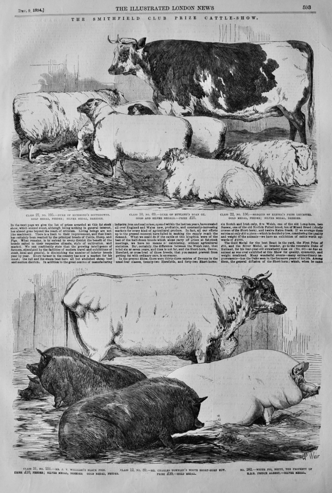 The Smithfield Club Prize Cattle-Show.  1854.