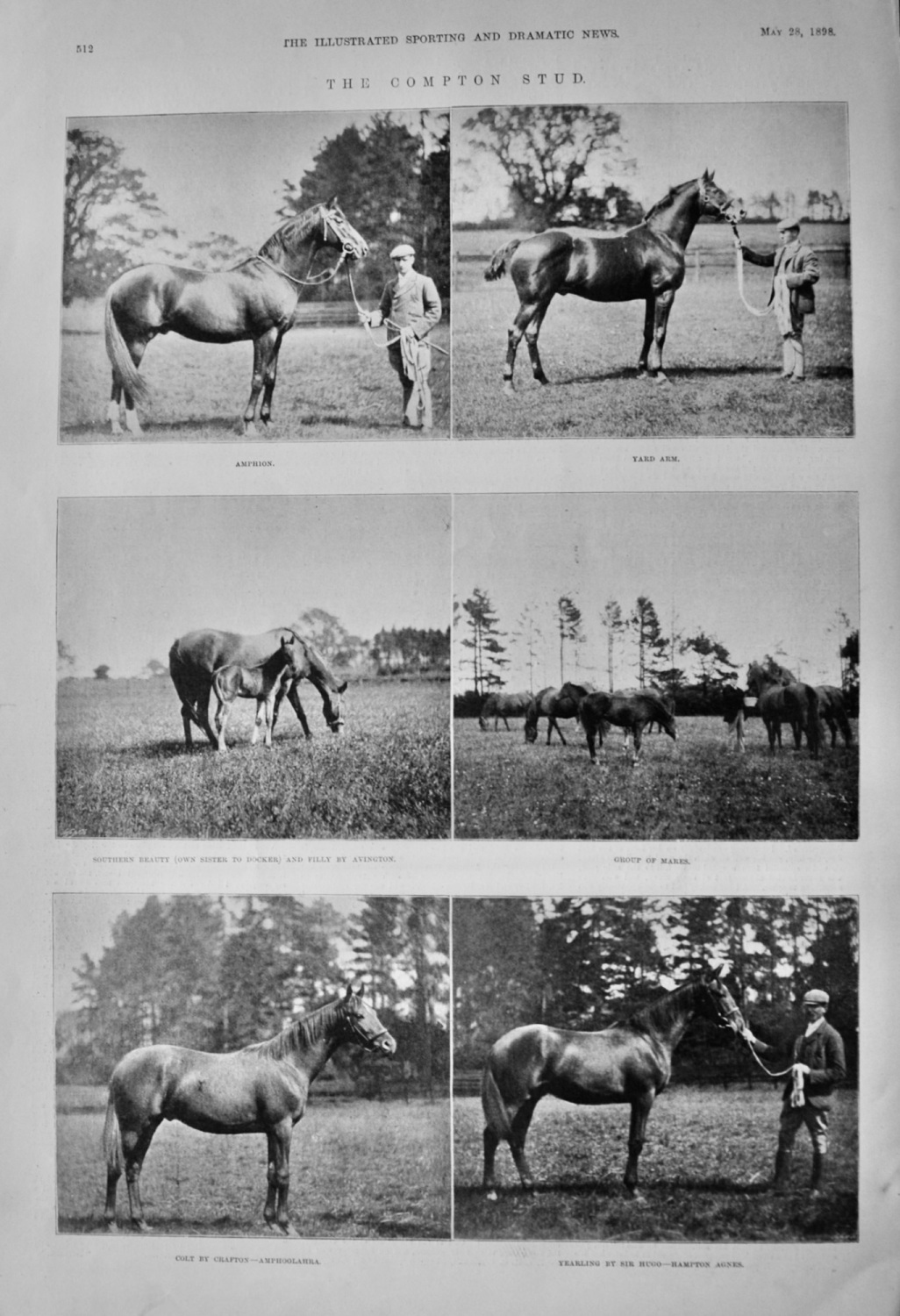 The Compton Stud.  1898.