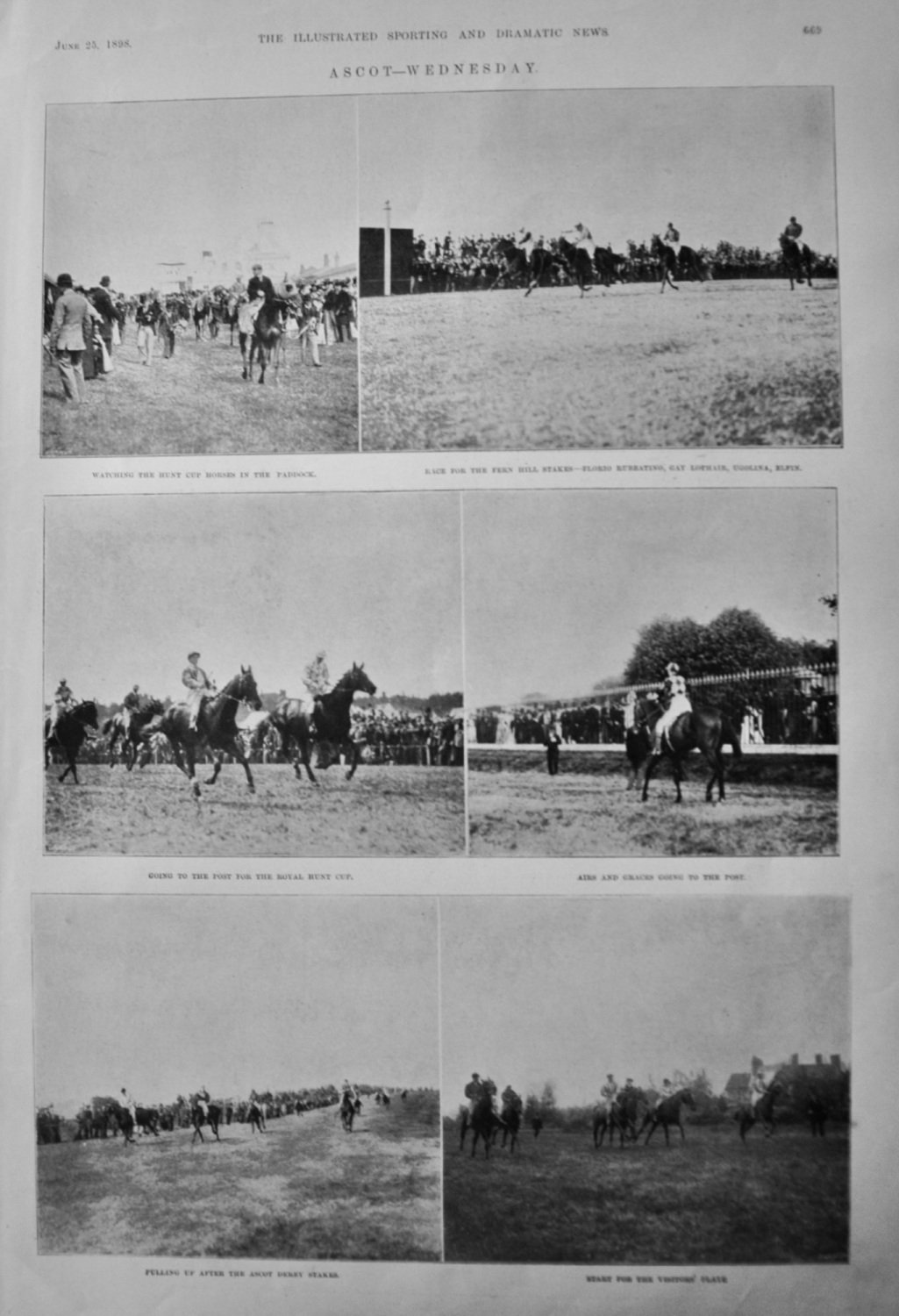 Ascot Races . (Wednesday).  1898.