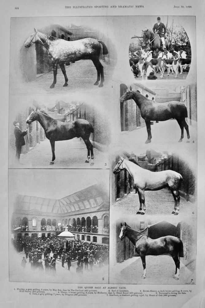 The Quorn Sale at Albert Gate.  1898.
