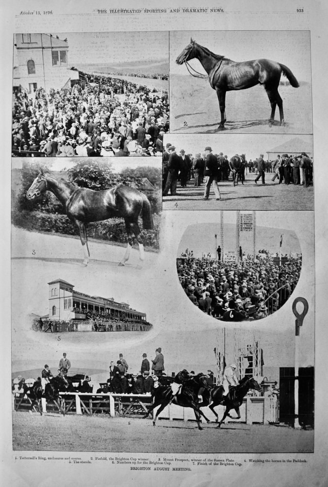 Brighton August Meeting.  1898. (Horseracing)