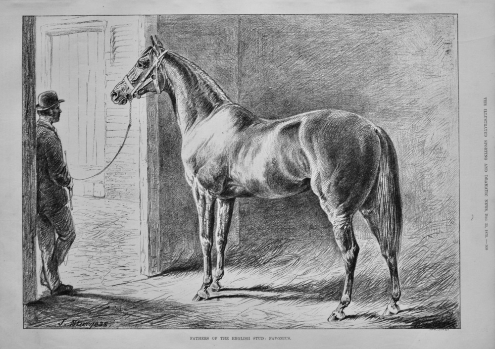 Fathers of the English Stud :  Favonius.  1875.