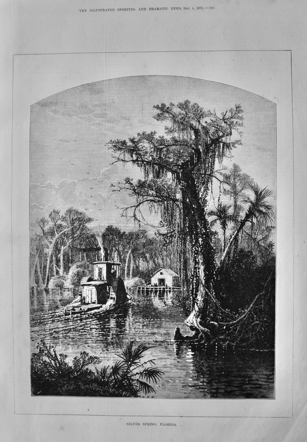 Silver Spring, Florida.  1875.