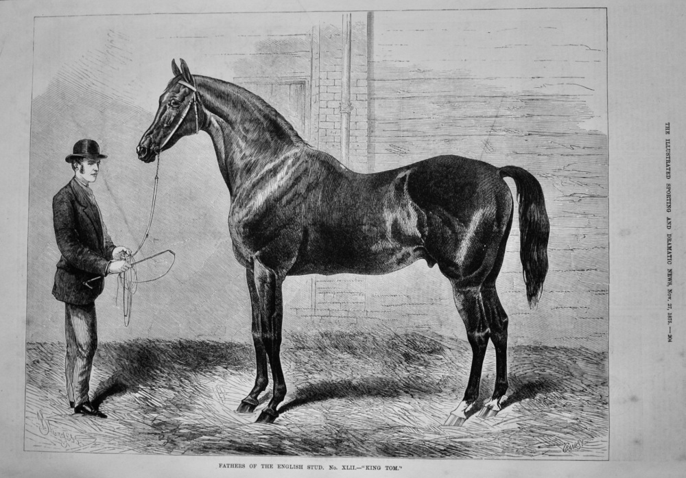 Fathers of the English Stud.  No. XLII.- "King Tom."   1875.