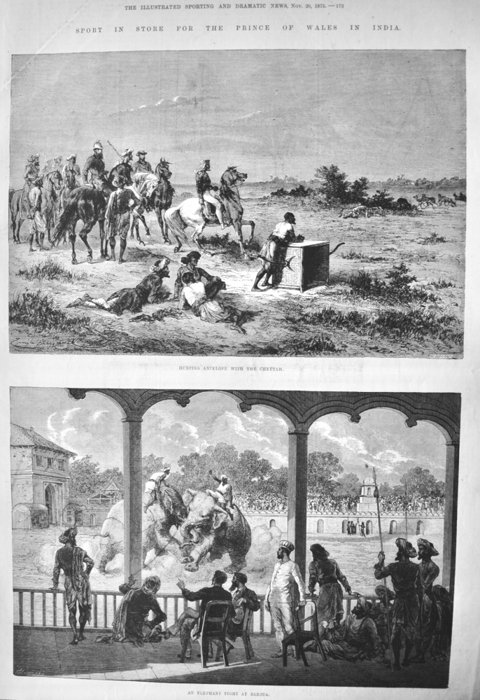 Sport in Store for the Prince of Wales in India.  1875.