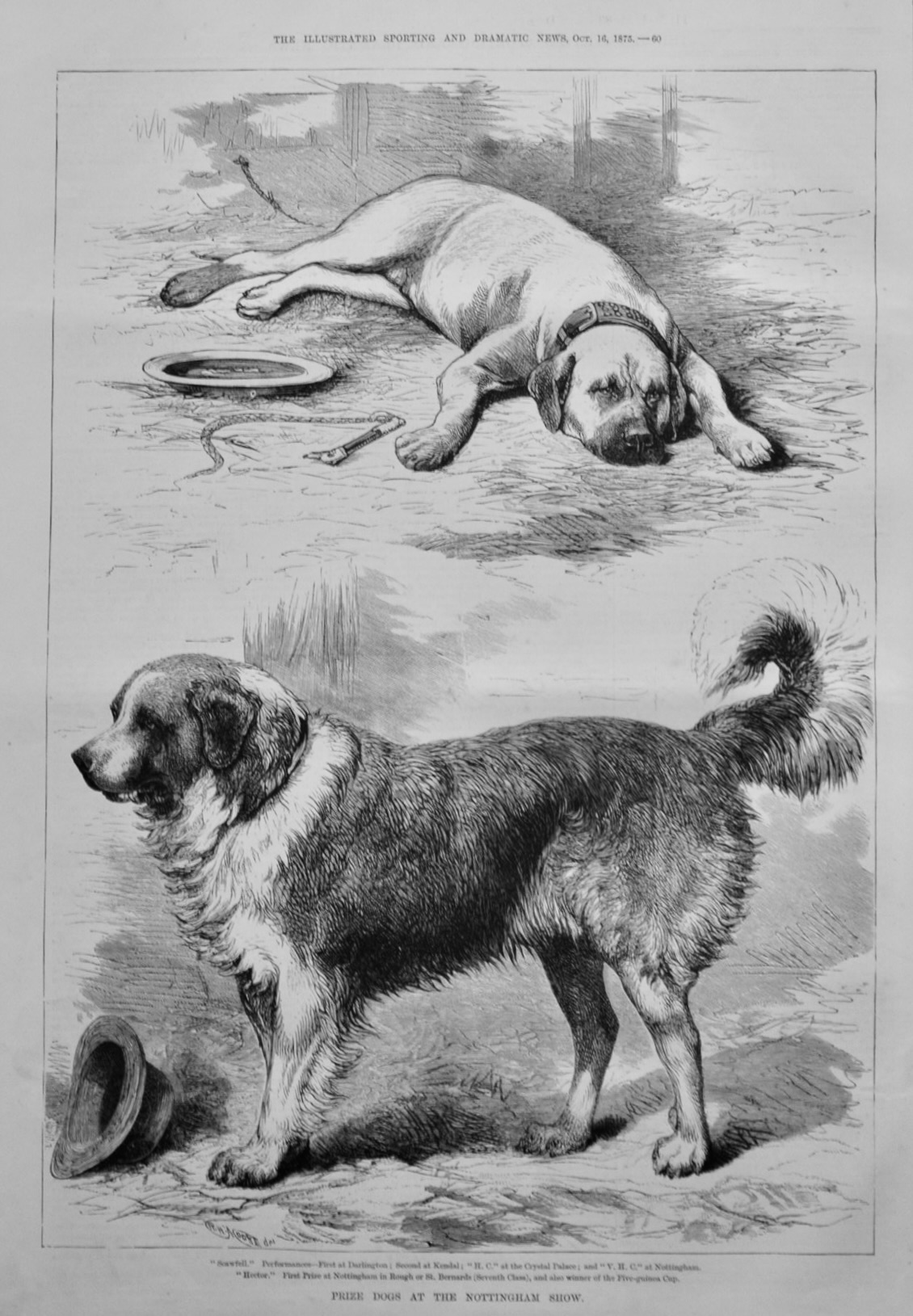 Prize Dogs at the Nottingham Show.  1875.