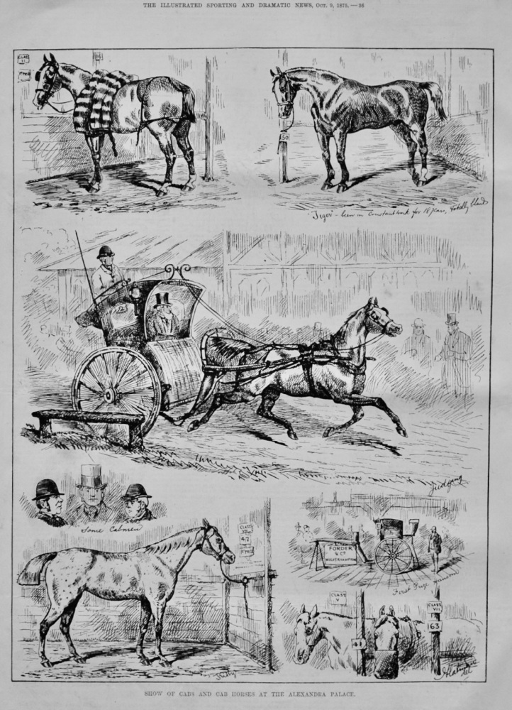 Show of Cabs and Cab Horses at the Alexandra Palace.  1875.