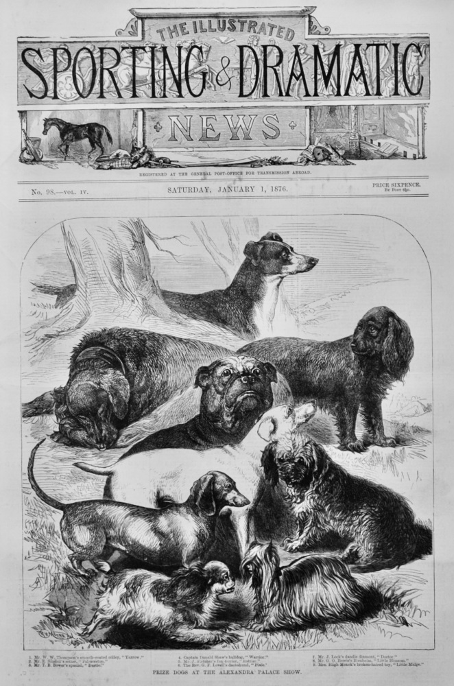 Prize Dogs at the Alexandra Palace Show.  1876.