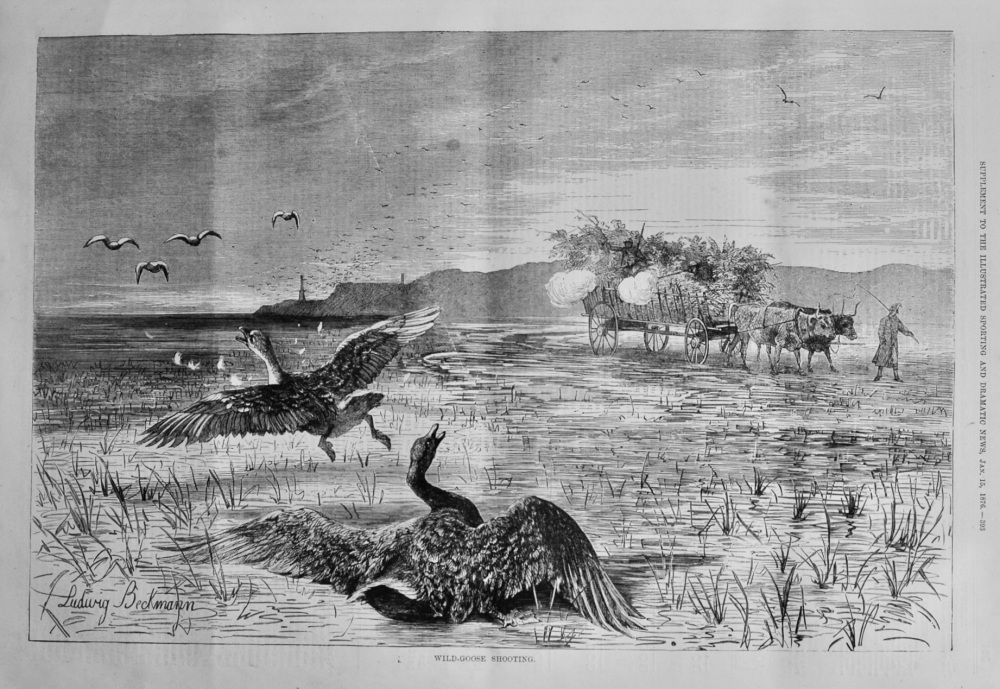 Wild-Goose Shooting. 1876.