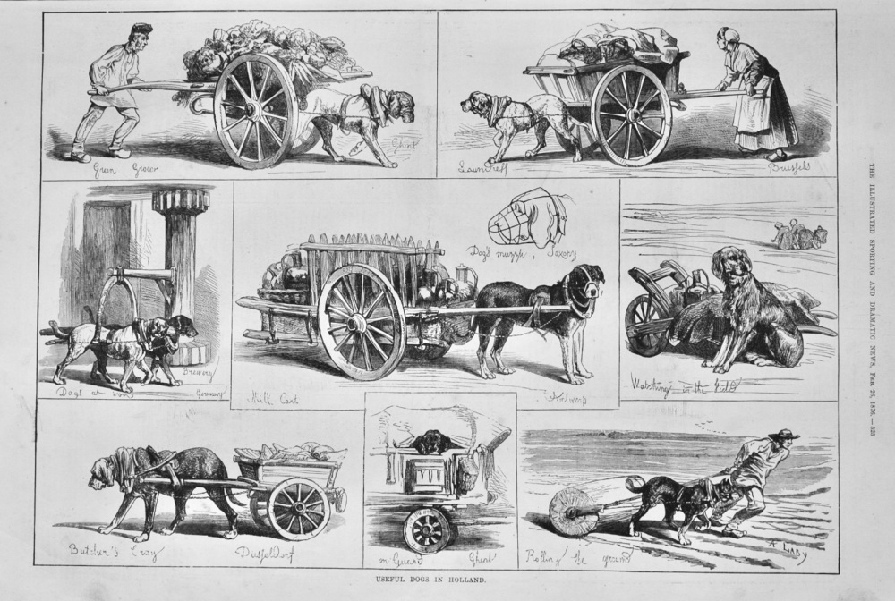 Useful Dogs in Holland.  1876.