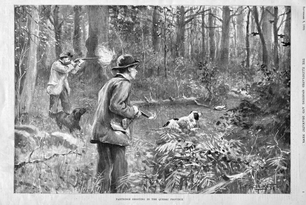 Partridge Shooting in the Quebec Province.  1898.