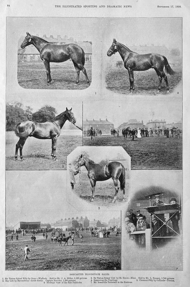 Doncaster Bloodstock Sales.  1898.