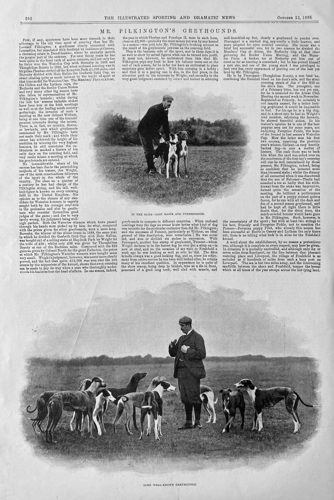 Mr. Pilkington's Greyhounds.  1898.