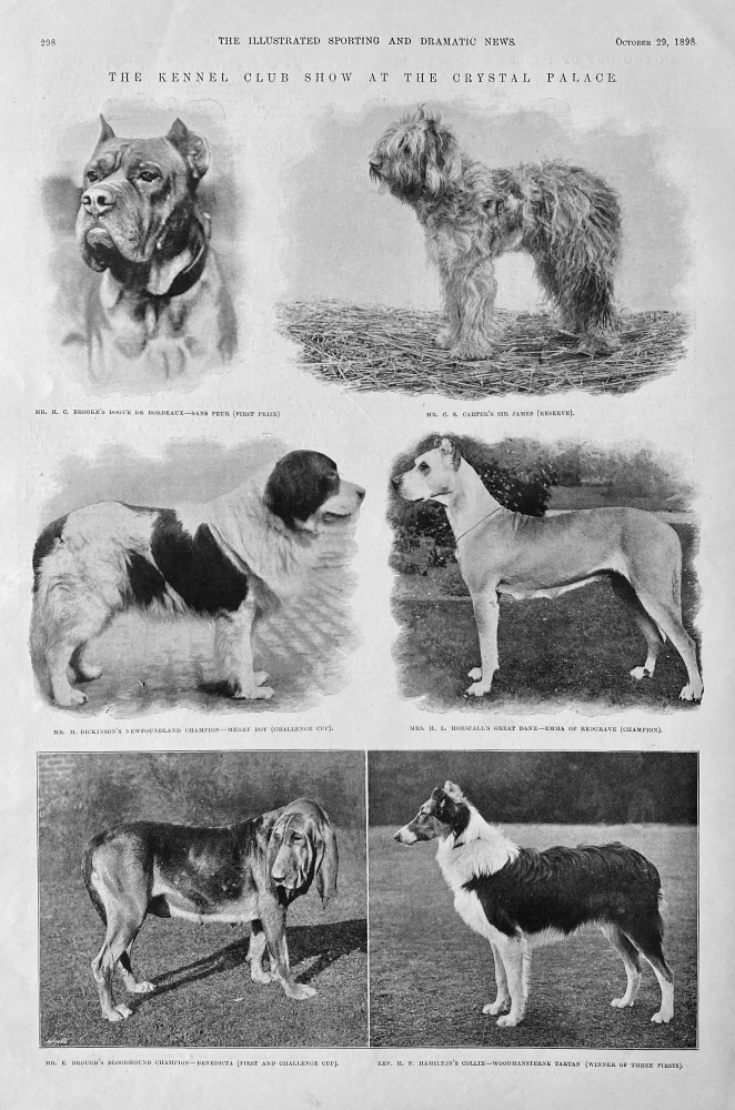 The Kennel Club Show at the Crystal Palace.  1898.