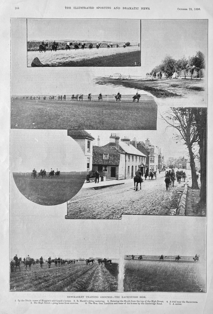 Newmarket Training Grounds,  1898.