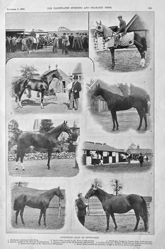 Bloodstock Sales at Newmarket.  1898.