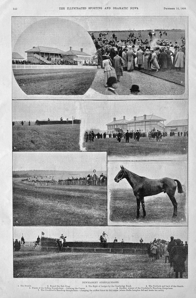 Newmarket Steeplechases.  1898.