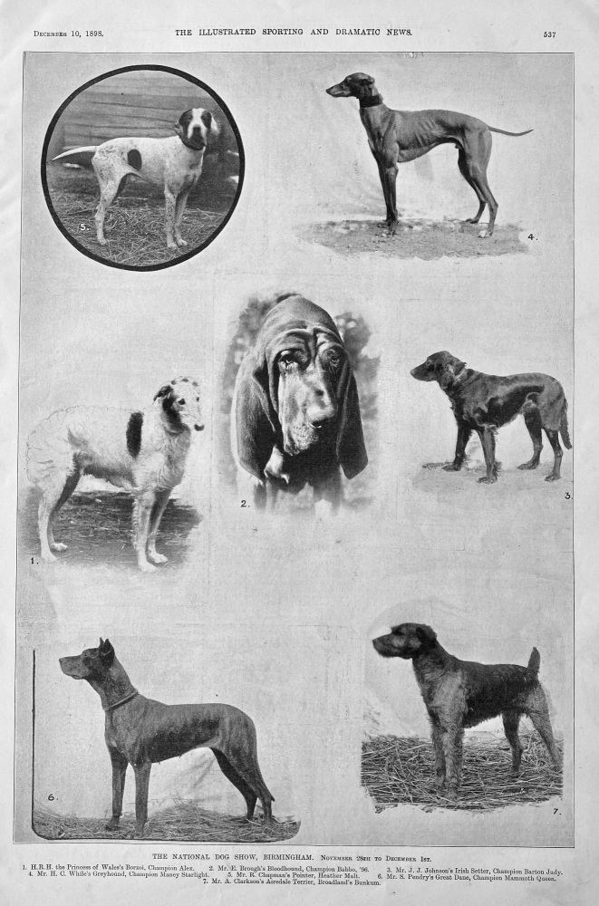 The National Dog Show, Birmingham.  November 28th to December 1st.  1898.
