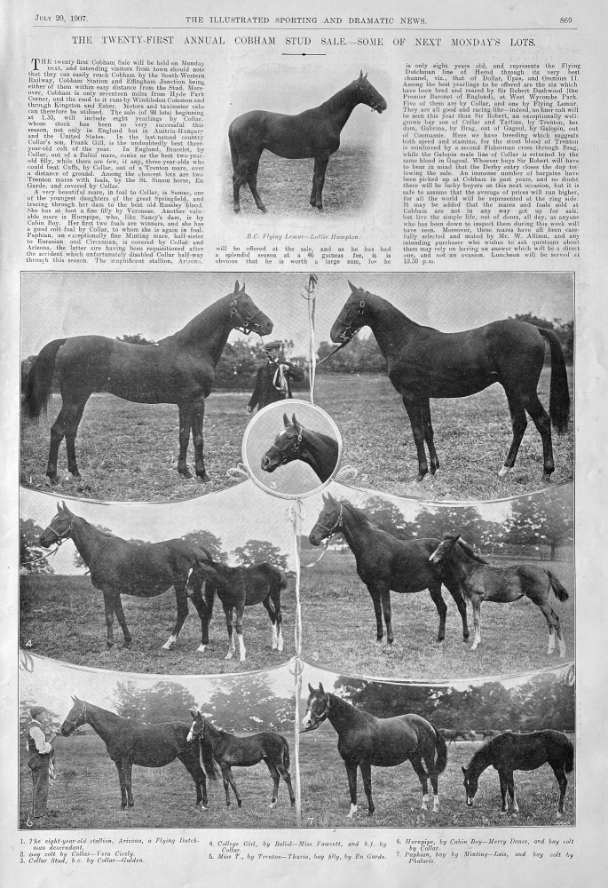 The Twenty-First Annual Cobham Stud Sale - Some of Next Monday's Lots.  1907.
