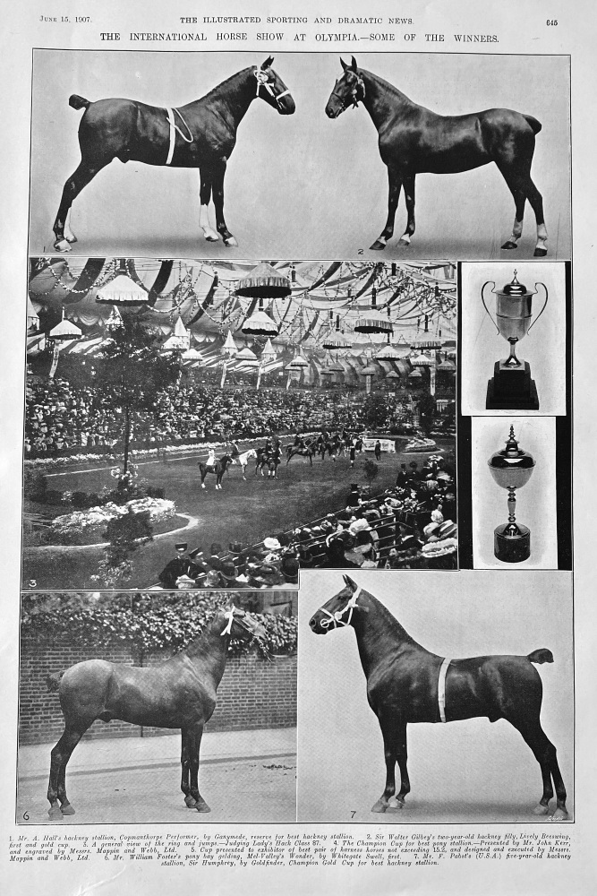 The International Horse Show at Olympia.- Some of the Winners.  1907.