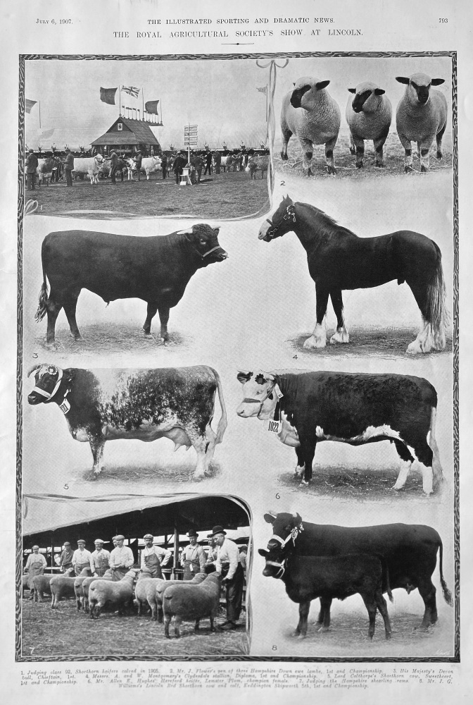 The Royal Agricultural Society's Show at Lincoln.  1907.