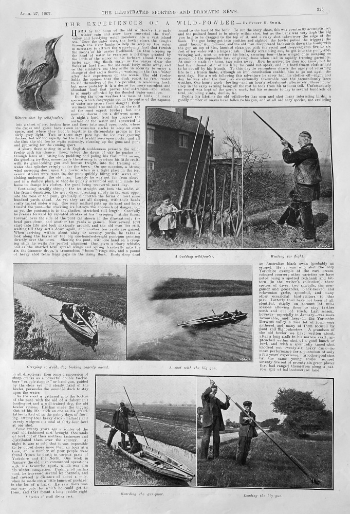 The Experiences of a Wild-Fowler.  1907.
