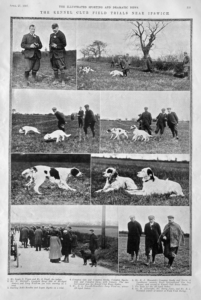 The Kennel Club Field Trials near Ipswich.  1907.